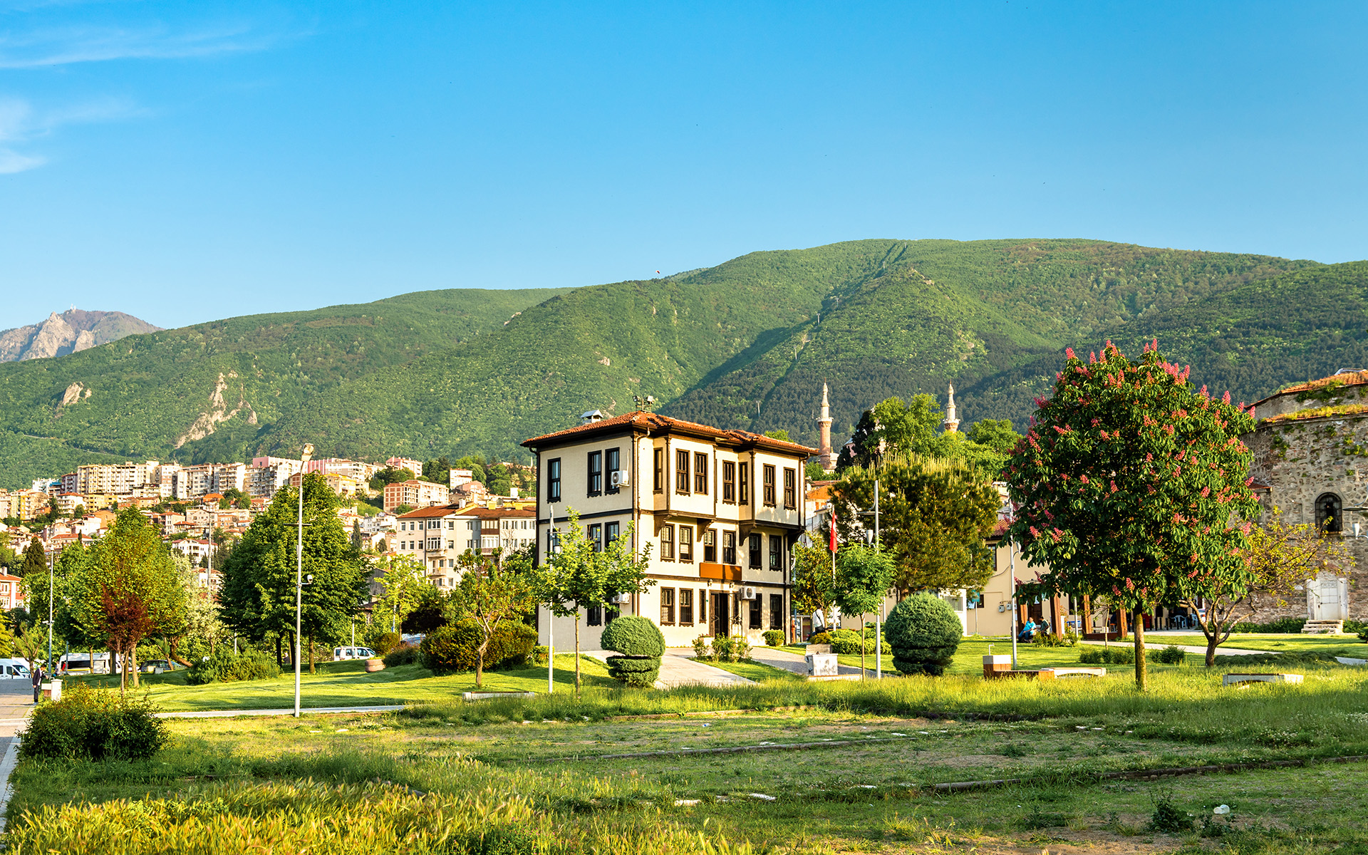 Homes and business spaces in Bursa against a mountain backdrop.