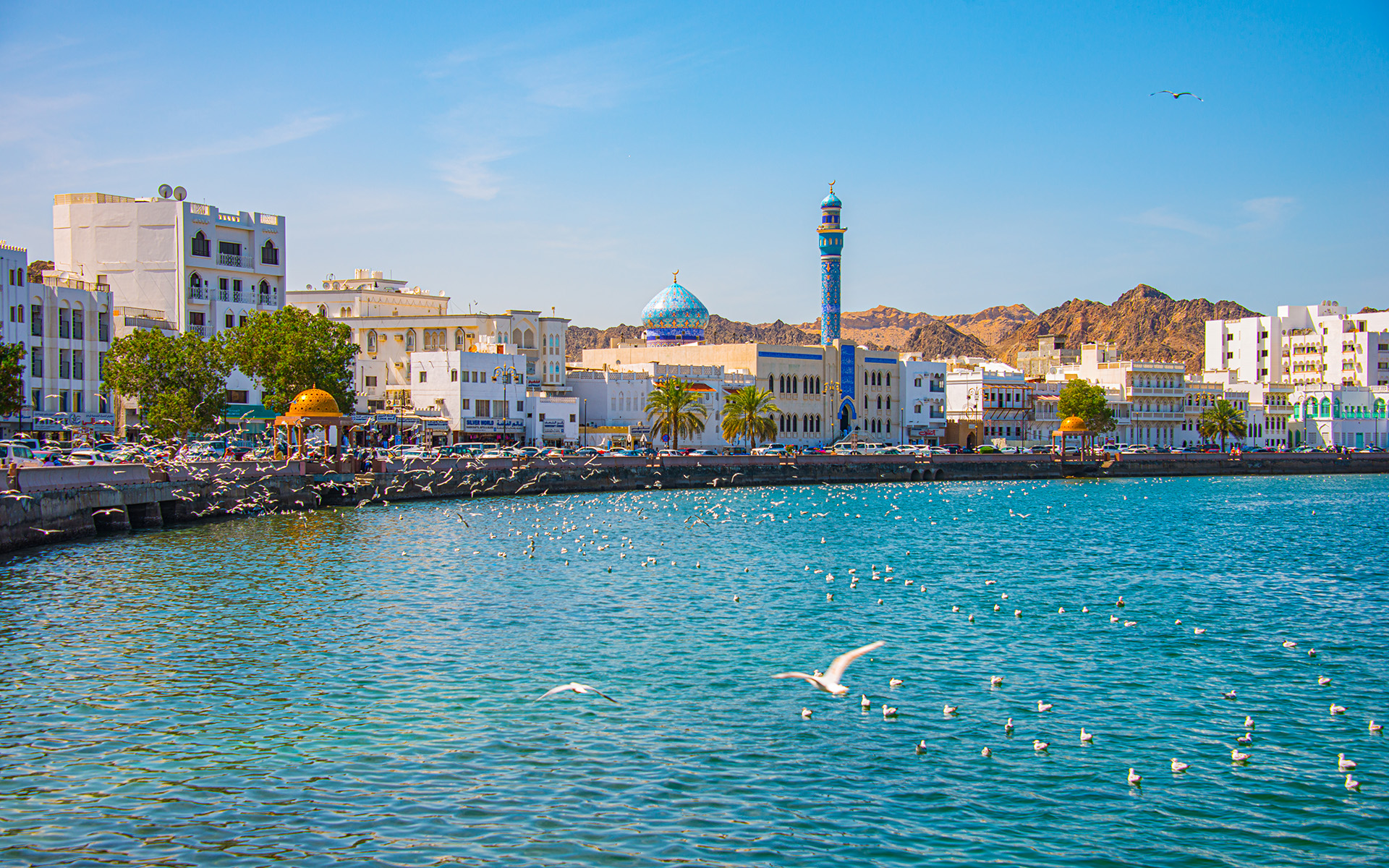 Buildings on the Muscat coastline.