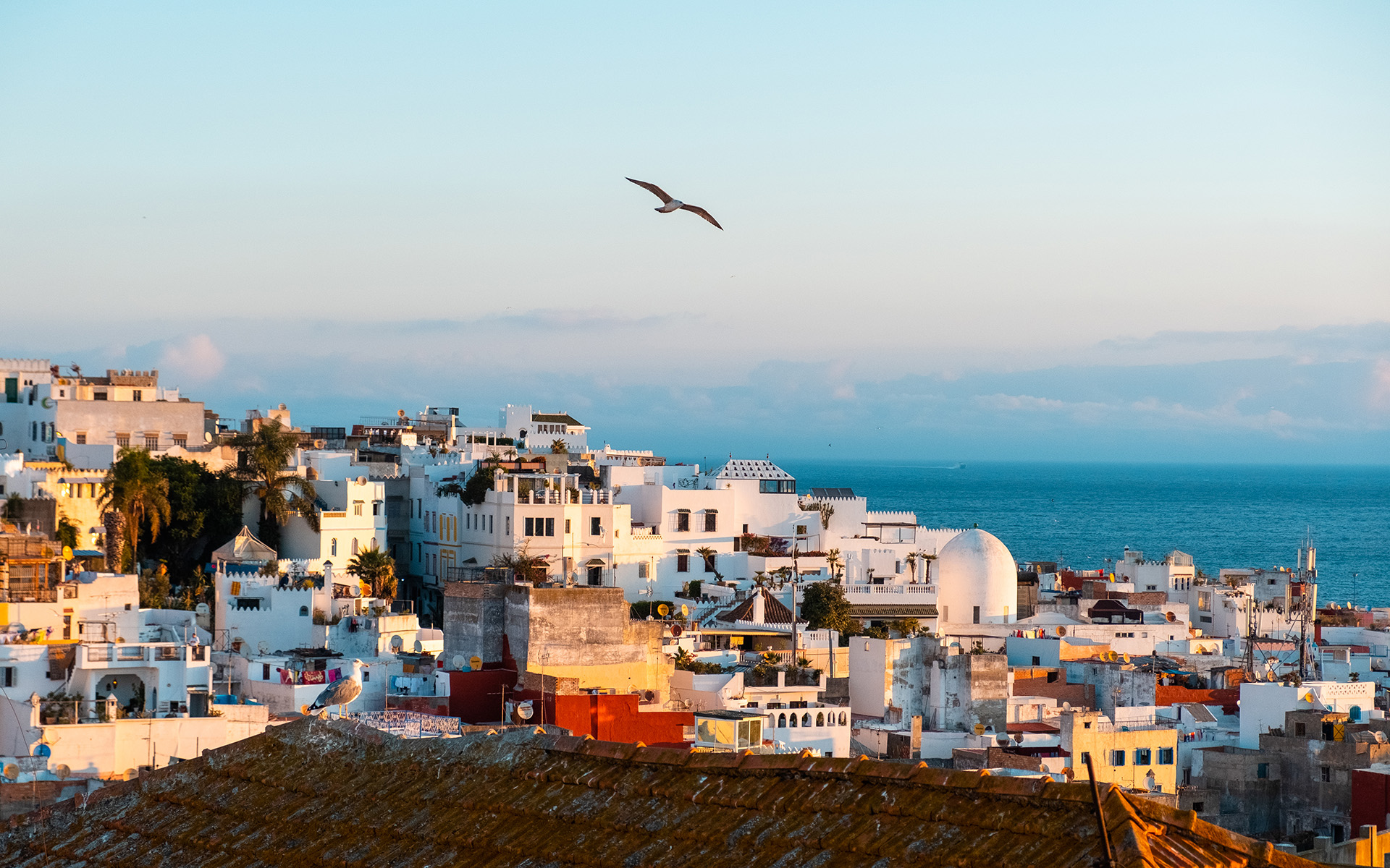 Tangier skyline with view of the ocean.